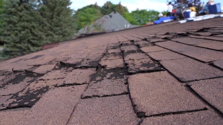 Best Skylight Installation and Repair  in Jefferson Hills, PA